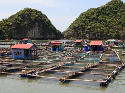 Floating-fishing-village-